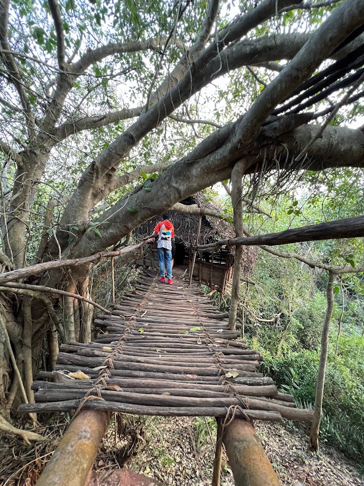 Forest Cycling and Trekking