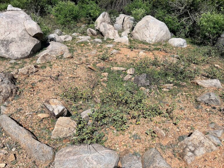 Odiyanantham Mother Goddess Trail – Walking to One of Tamil Nadu's Oldest Sacred Symbols photo 3