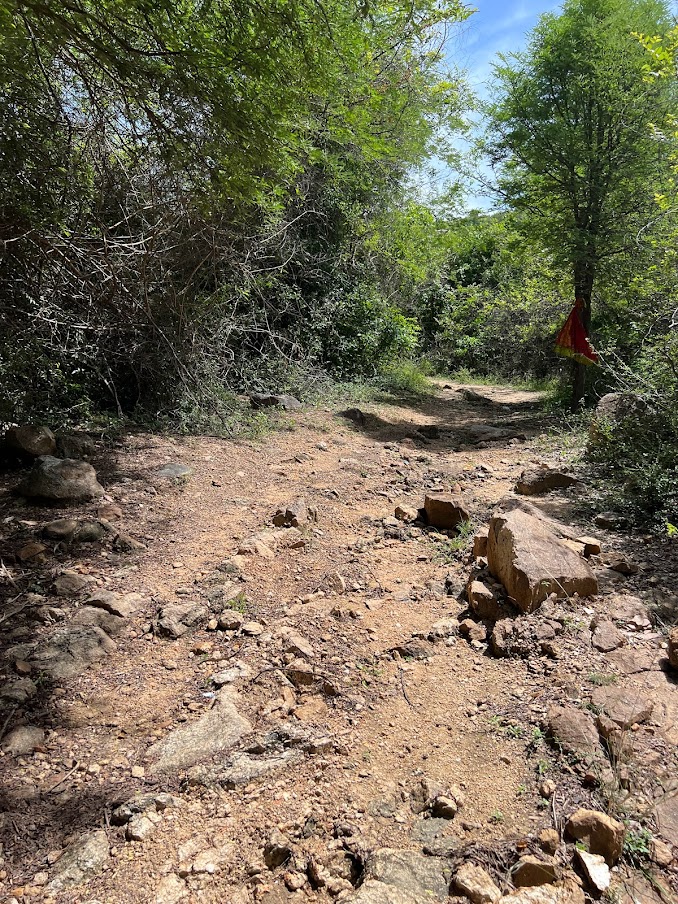 Odiyanantham Mother Goddess Trail – Walking to One of Tamil Nadu's Oldest Sacred Symbols photo 4