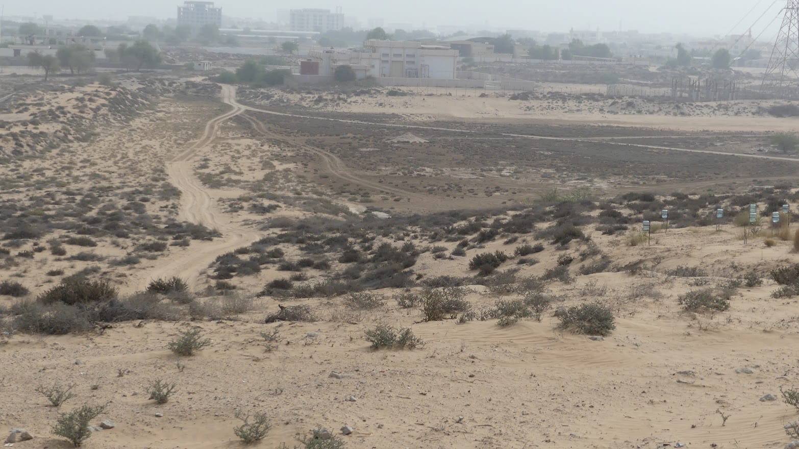 Al Hamra Watch Tower Trail – Explore the Hidden Ancient Watchtower in Ras Al Khaimah, UAE photo 2