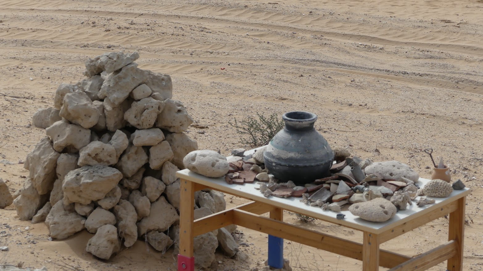 Al Hamra Watch Tower Trail – Explore the Hidden Ancient Watchtower in Ras Al Khaimah, UAE photo 3