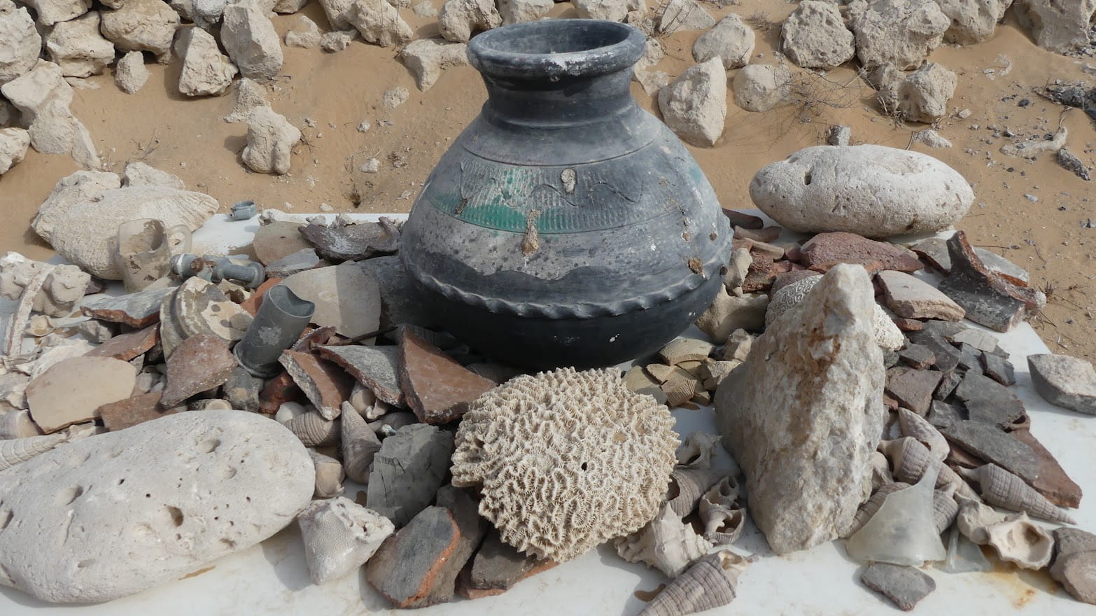 Al Hamra Watch Tower Trail – Explore the Hidden Ancient Watchtower in Ras Al Khaimah, UAE photo 4