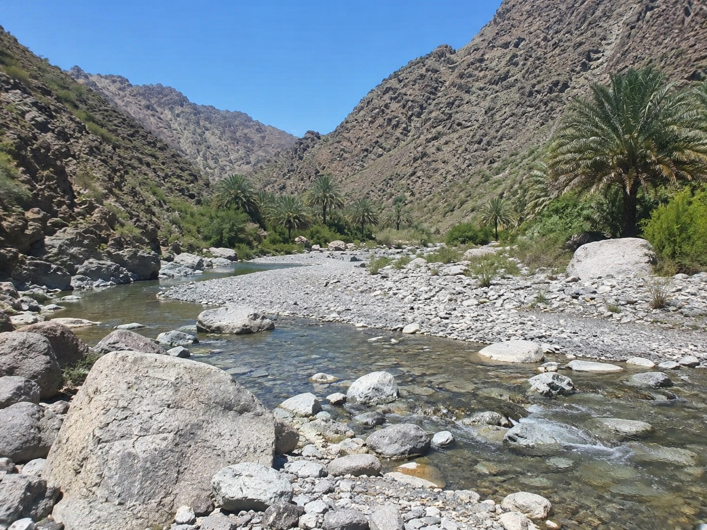 Explore Wadi Abadilah | Hidden Gem in the Hajar Mountains photo 1