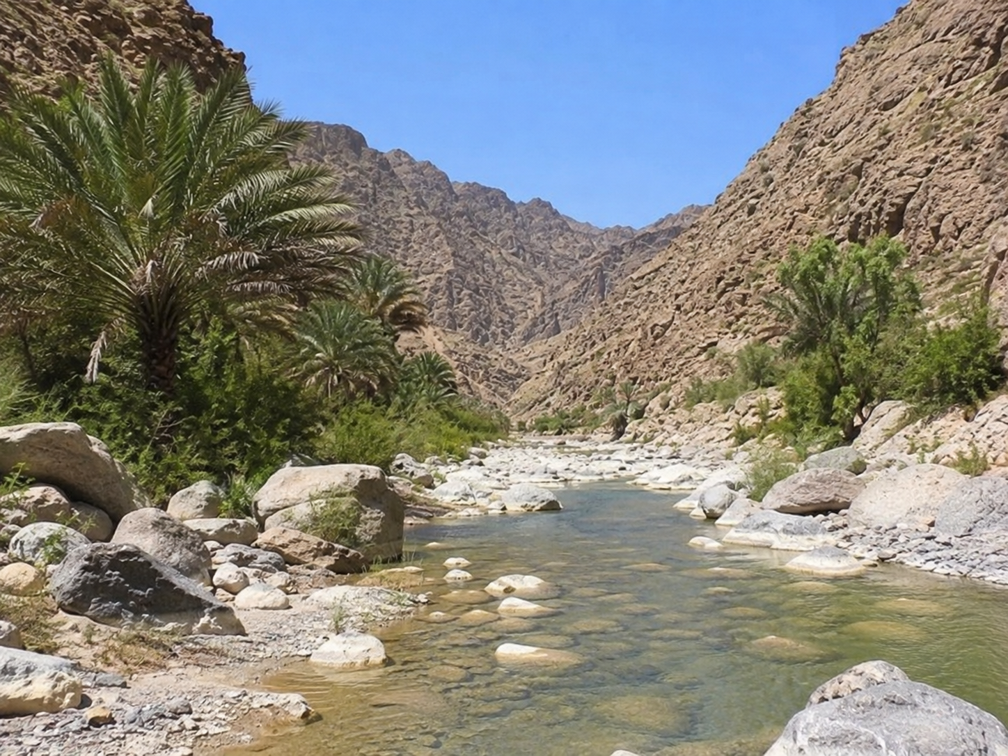 Explore Wadi Abadilah | Hidden Gem in the Hajar Mountains photo 3