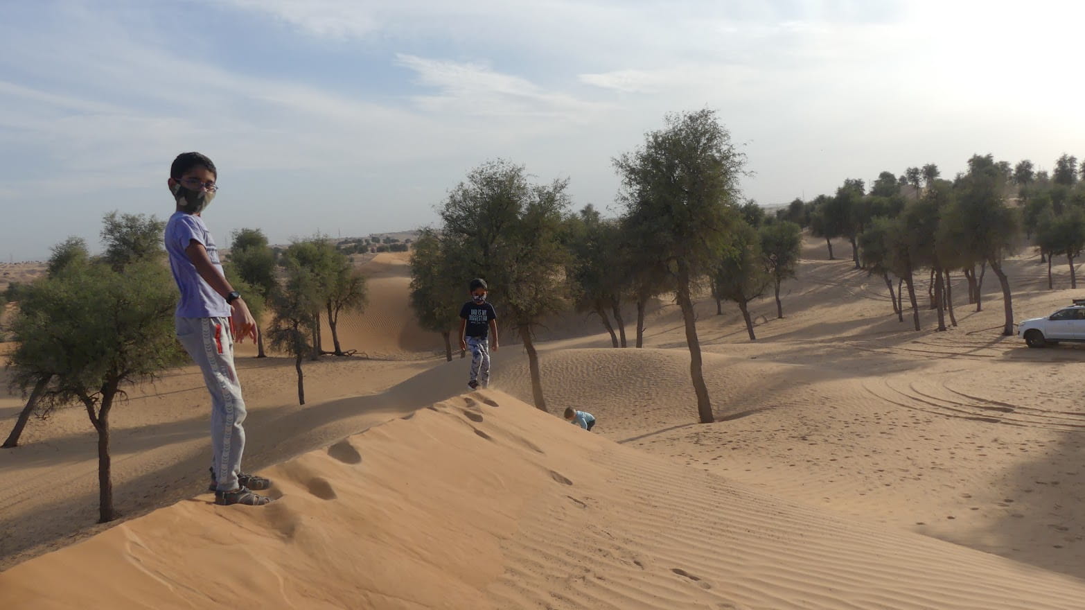 Al Hayer Desert Forest Trail – Discover Abu Dhabi's Hidden Desert Forest photo 1