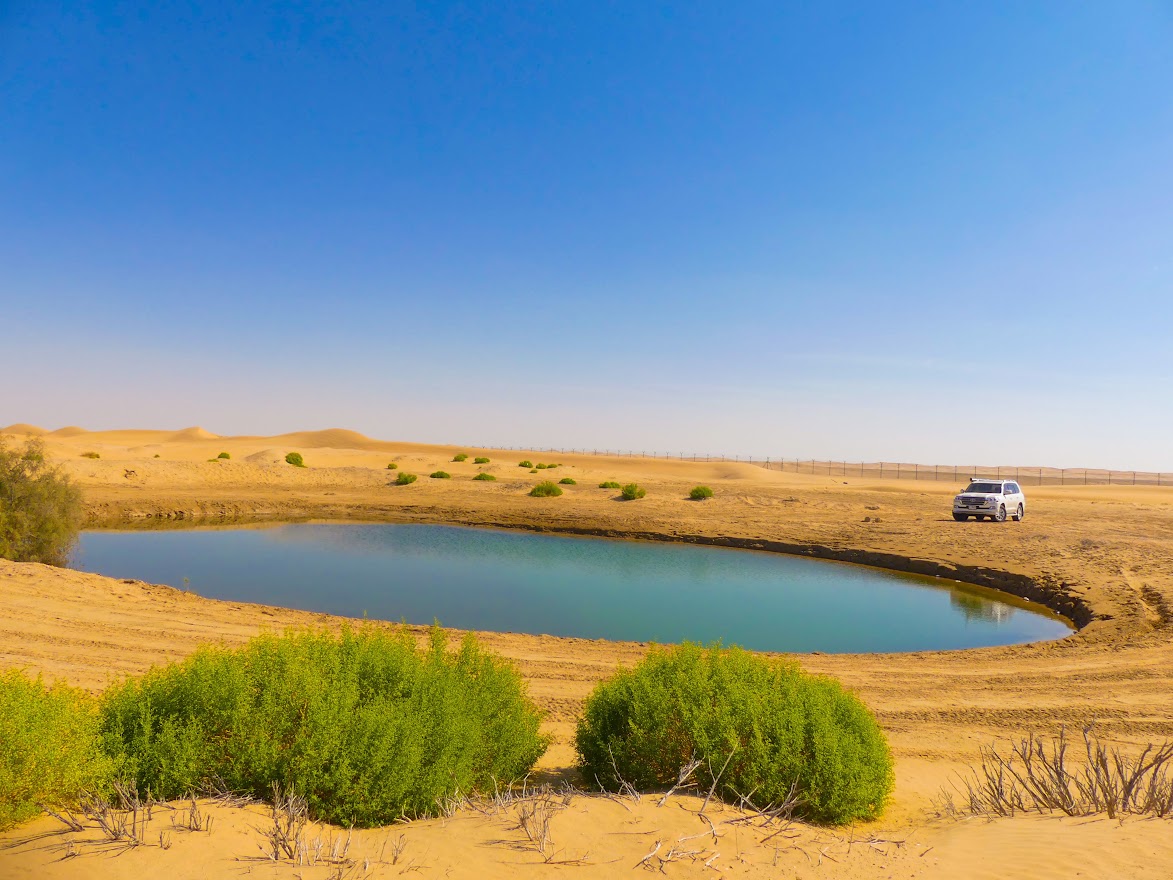 Sweihan Pond – A Quiet Desert Escape in Abu Dhabi photo 1