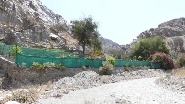 Tayyibah Village – A Scenic Wadi Drive in Fujairah photo 3