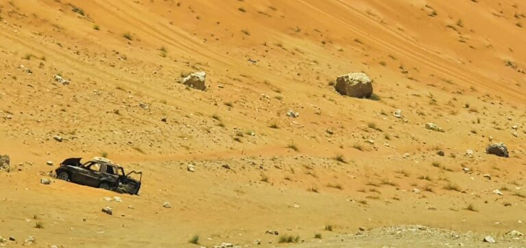 6 Emirates Al Madam to Dibba Fish Market | 4x4 UAE Adventure photo 5