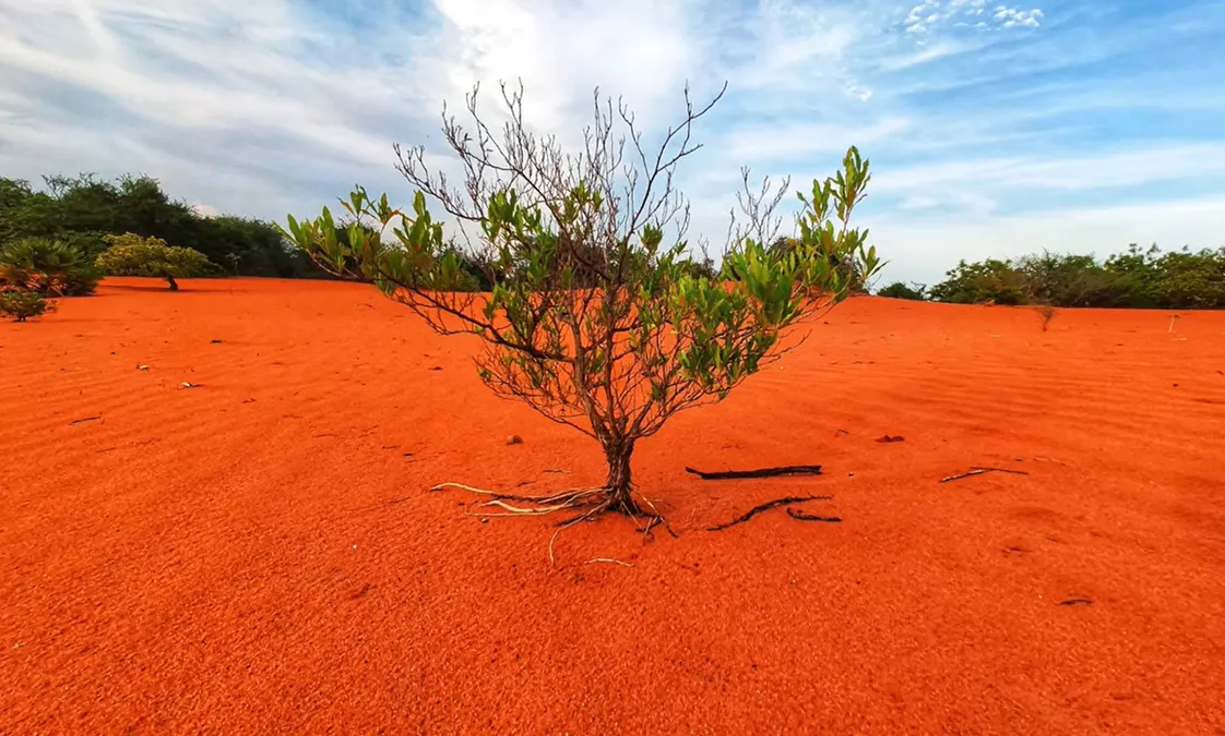 Therikadu Desert Off-Road Track – Tamil Nadu