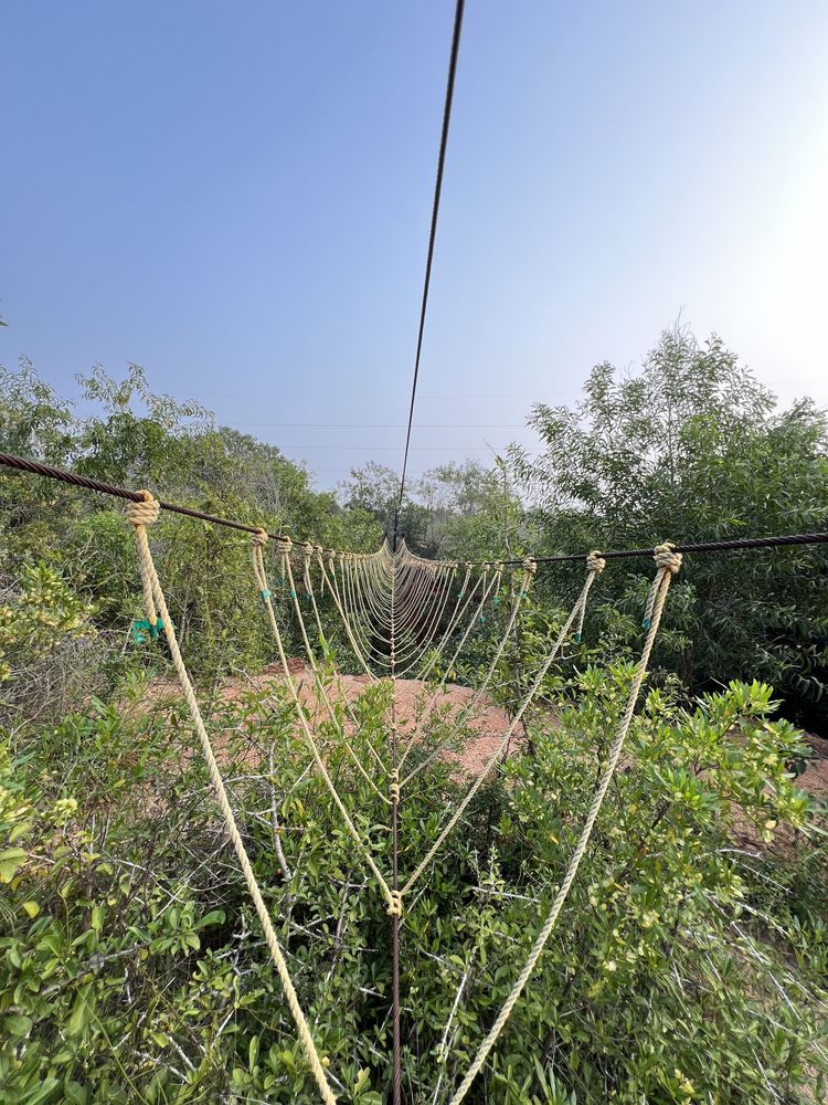 Aranya Forest & Sanctuary – Forest Trail Walk