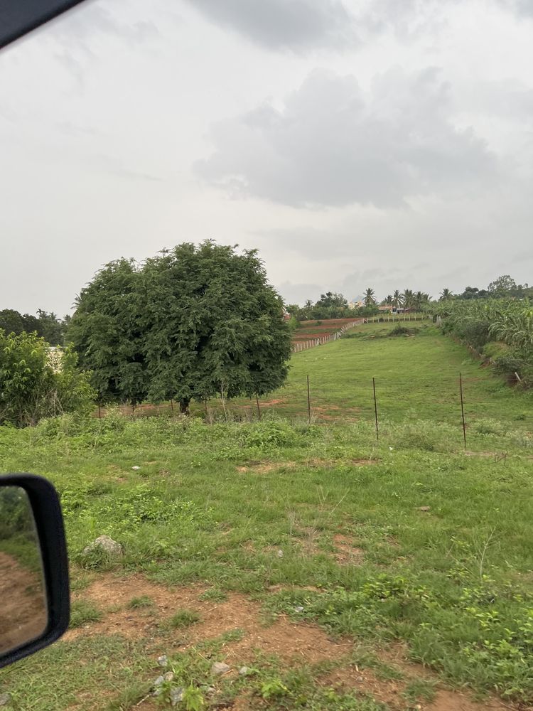 Attiguppe Saturday Morning Activity | Karnataka 4x4 Trail photo 1