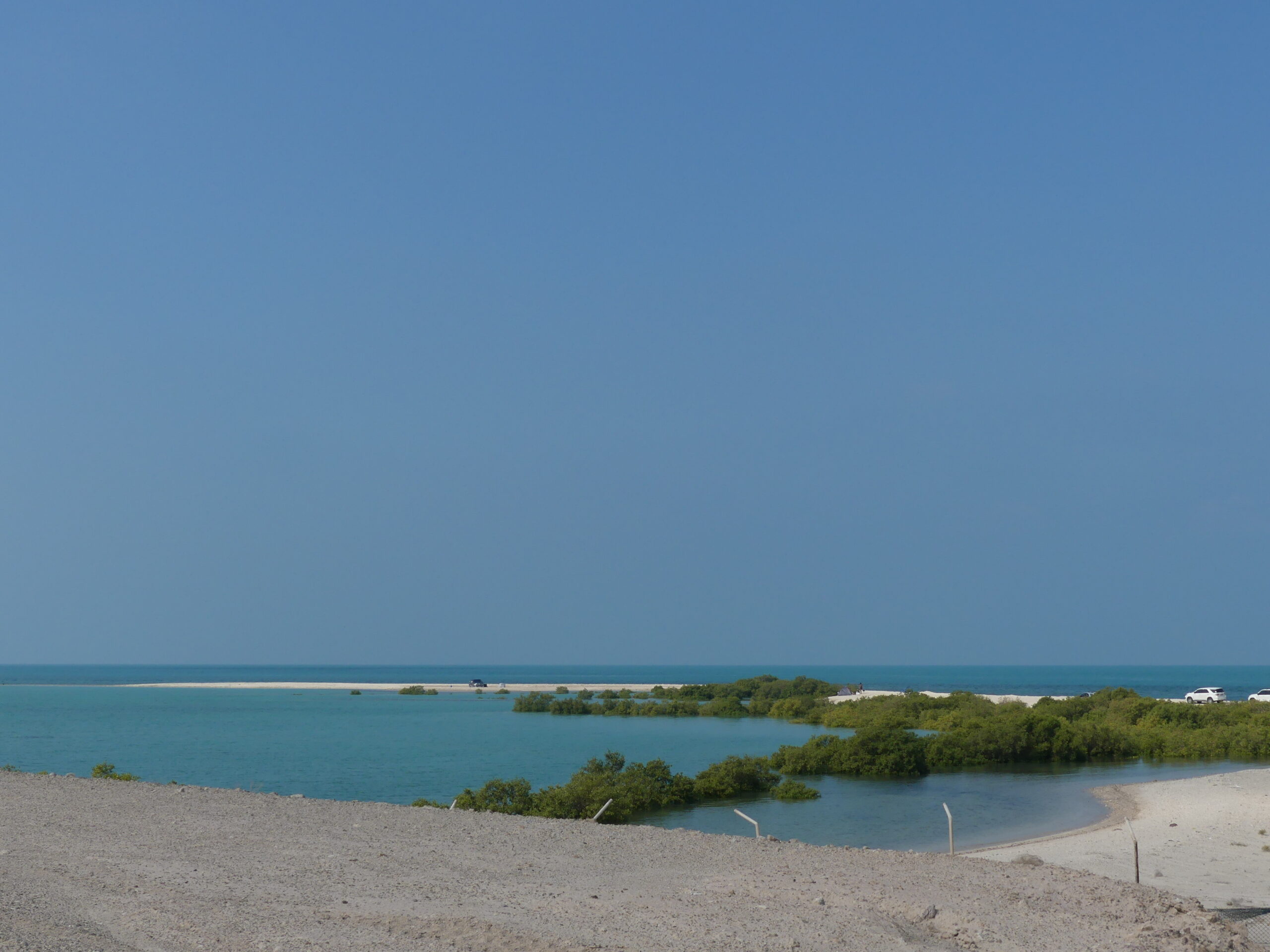 Dalma Island – Ferry, Beach & Island Escape photo 2
