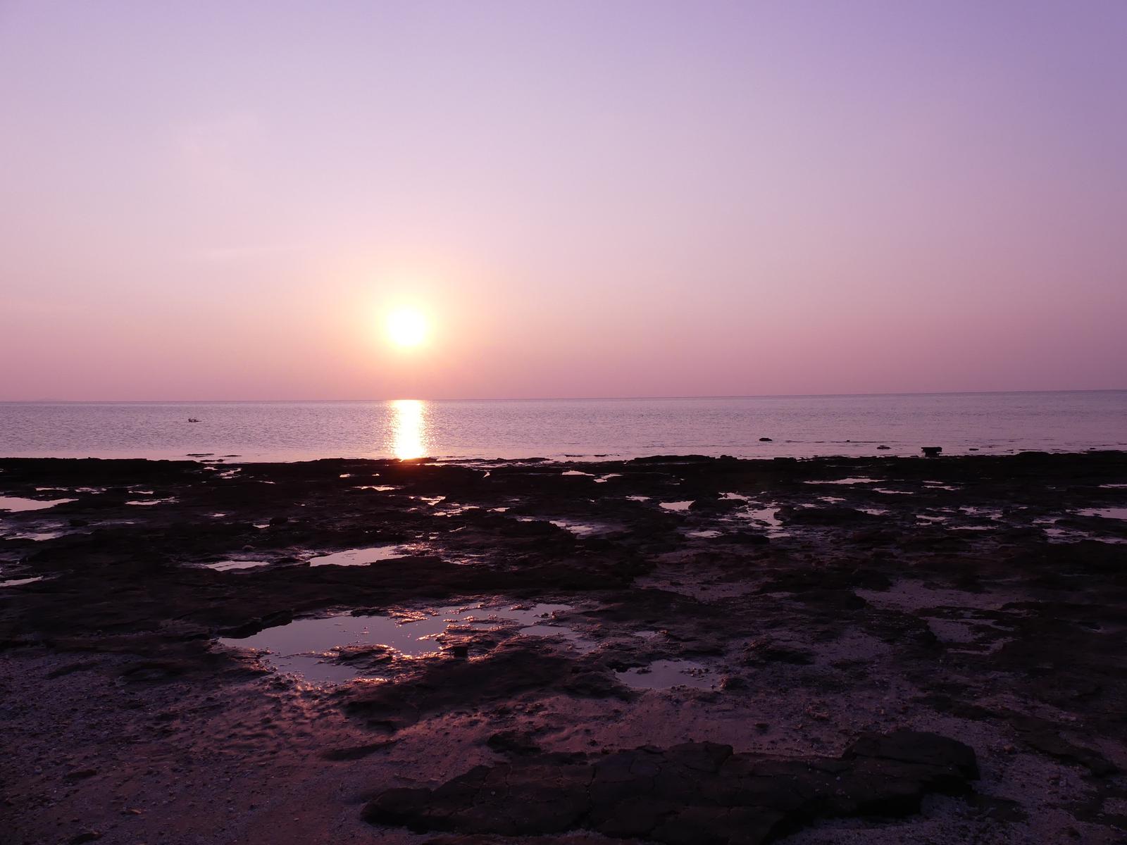 Dalma Island – Ferry, Beach & Island Escape photo 4