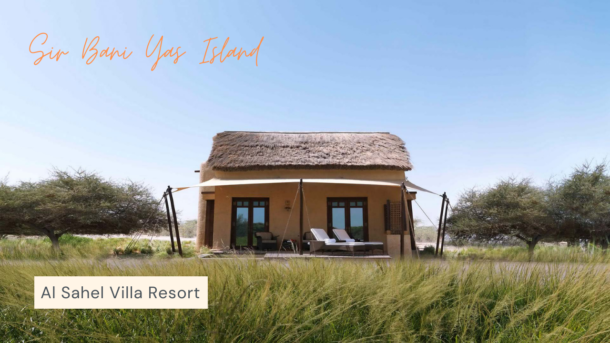 Sir Bani Yas Island | A Memorable Family Staycation