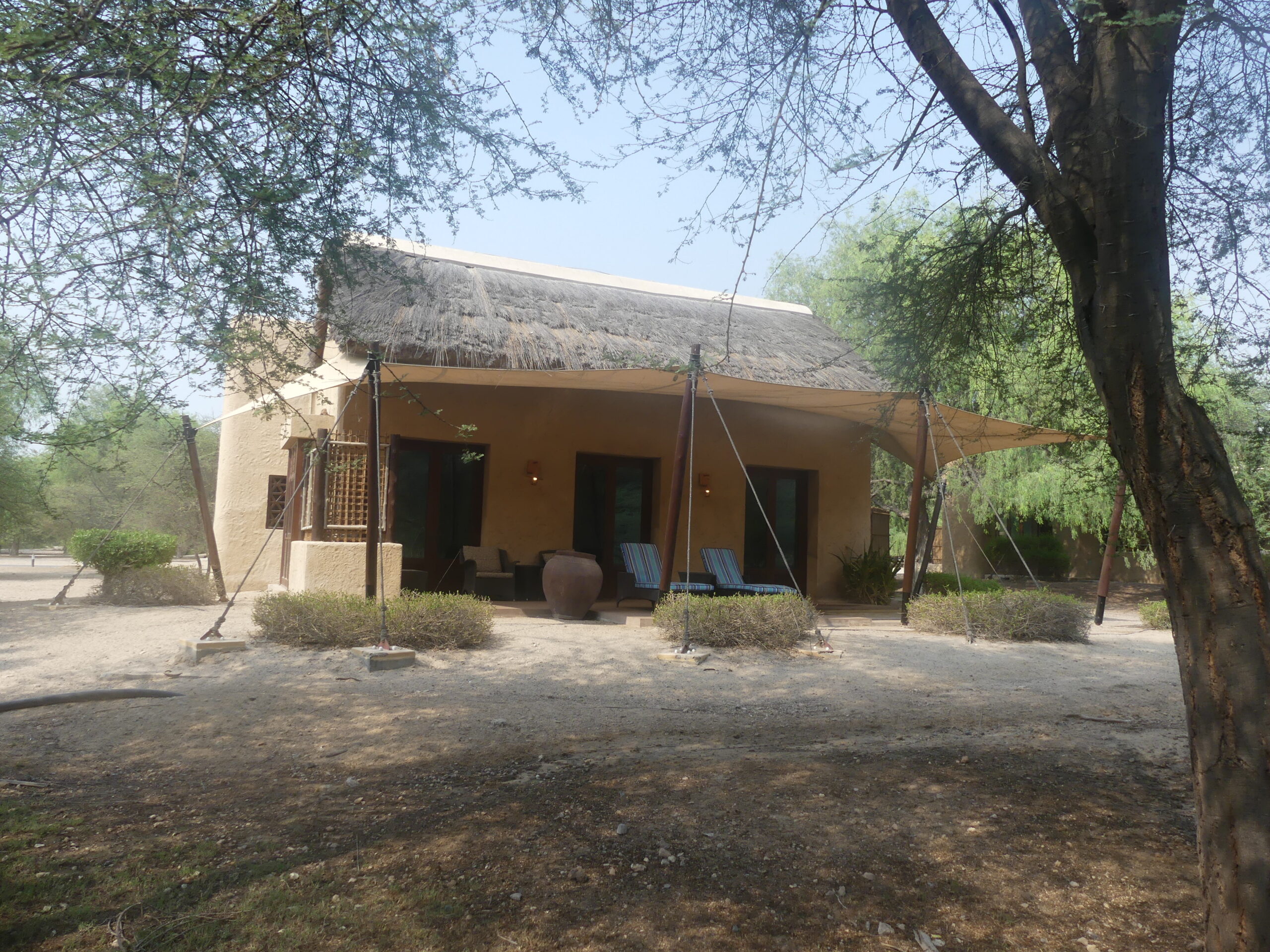 Sir Bani Yas Island | A Memorable Family Staycation photo 2