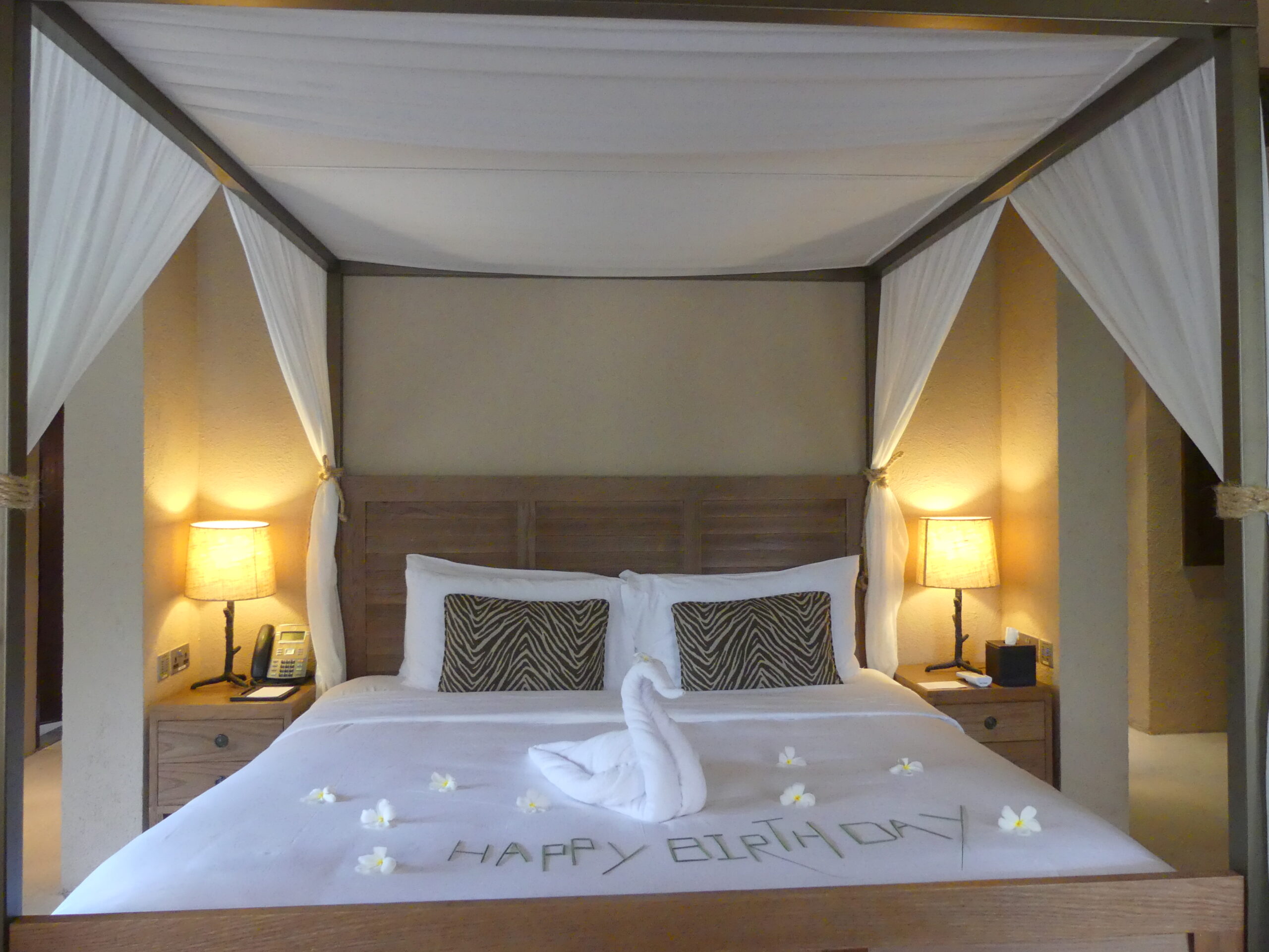 Sir Bani Yas Island | A Memorable Family Staycation photo 4
