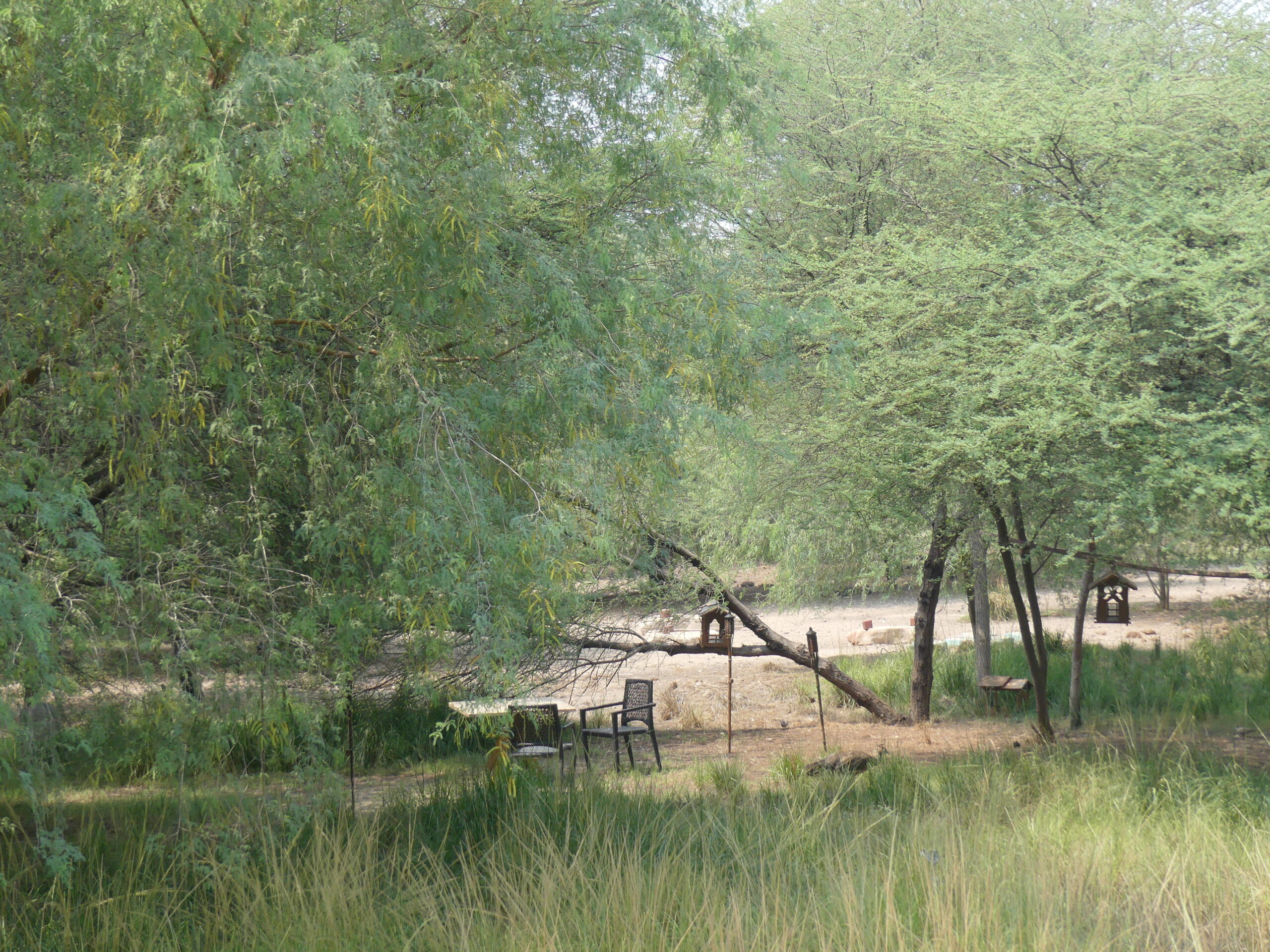 Sir Bani Yas Island | A Memorable Family Staycation photo 6
