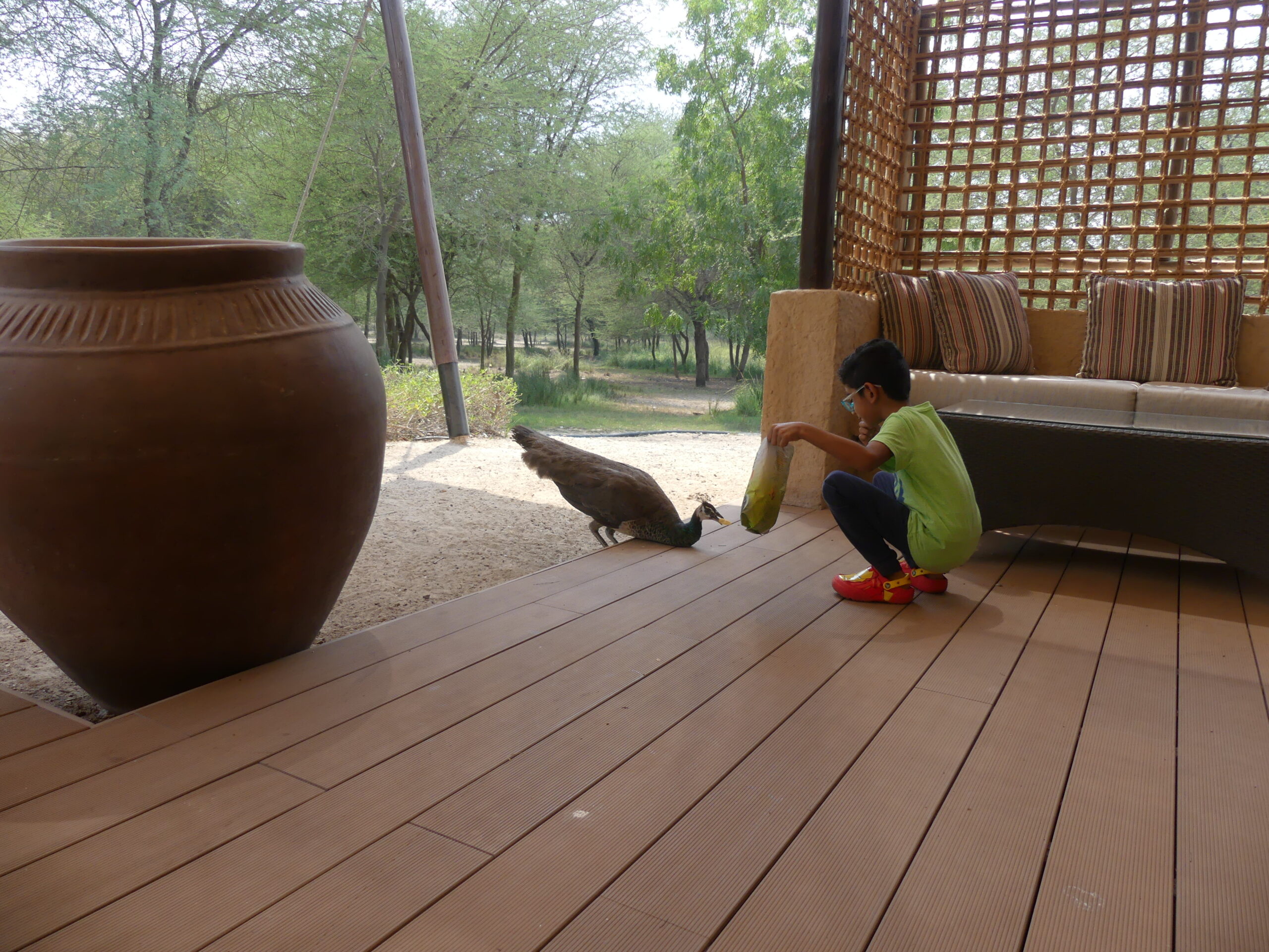 Sir Bani Yas Island | A Memorable Family Staycation photo 8