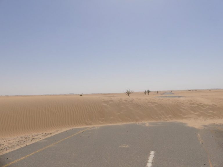 Exit 55 Half Desert | Dubai 4x4 Camping Escape photo 1