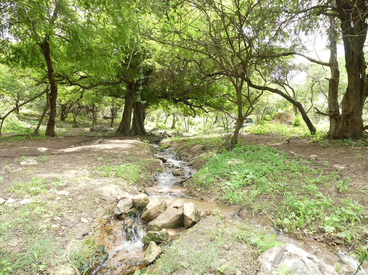 Wadi Shaaboon | A Peaceful Wadi Escape Near Salalah