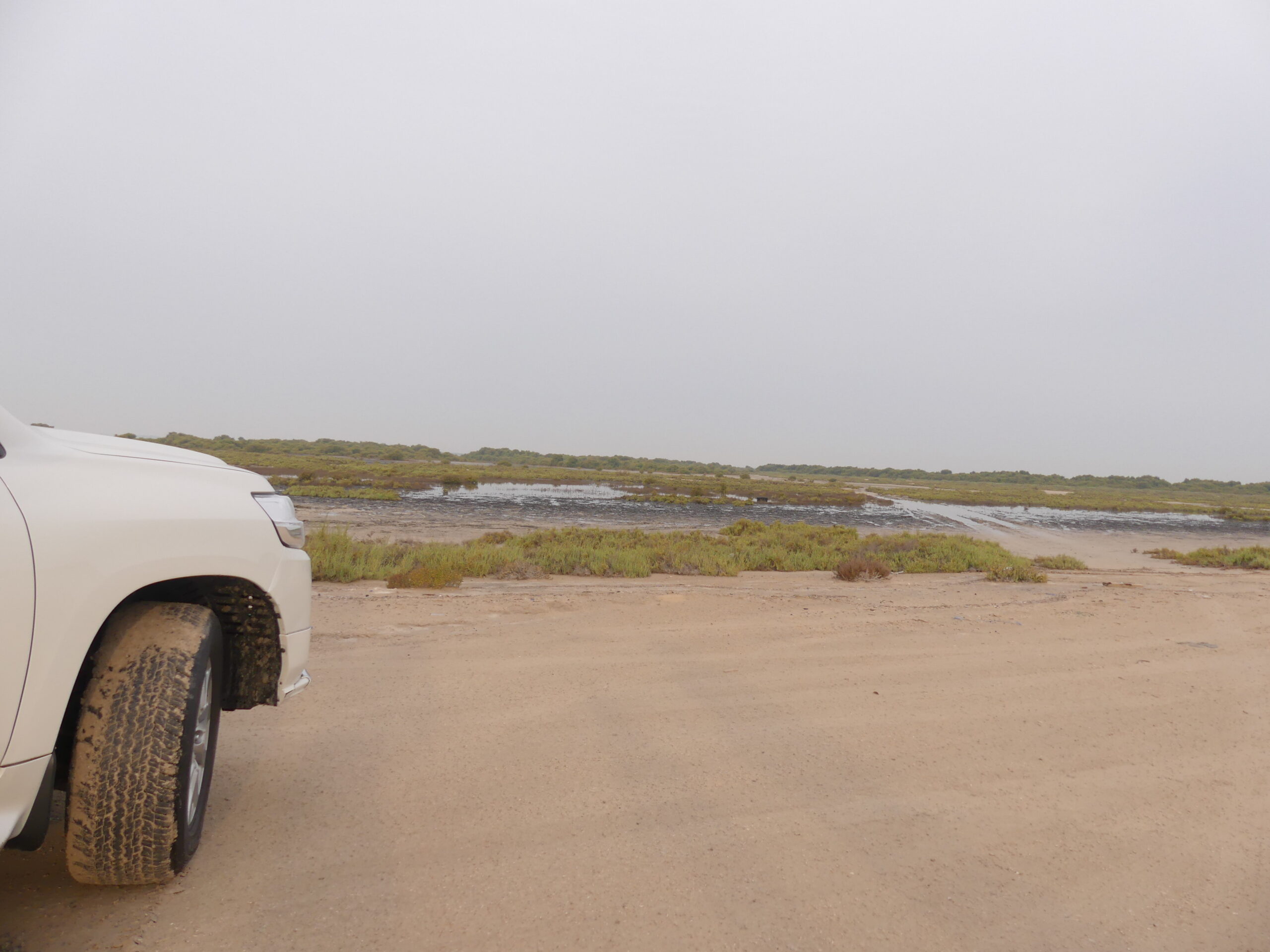 Magnificent Lagoon – A Peaceful Escape in Umm Al Quwain photo 1