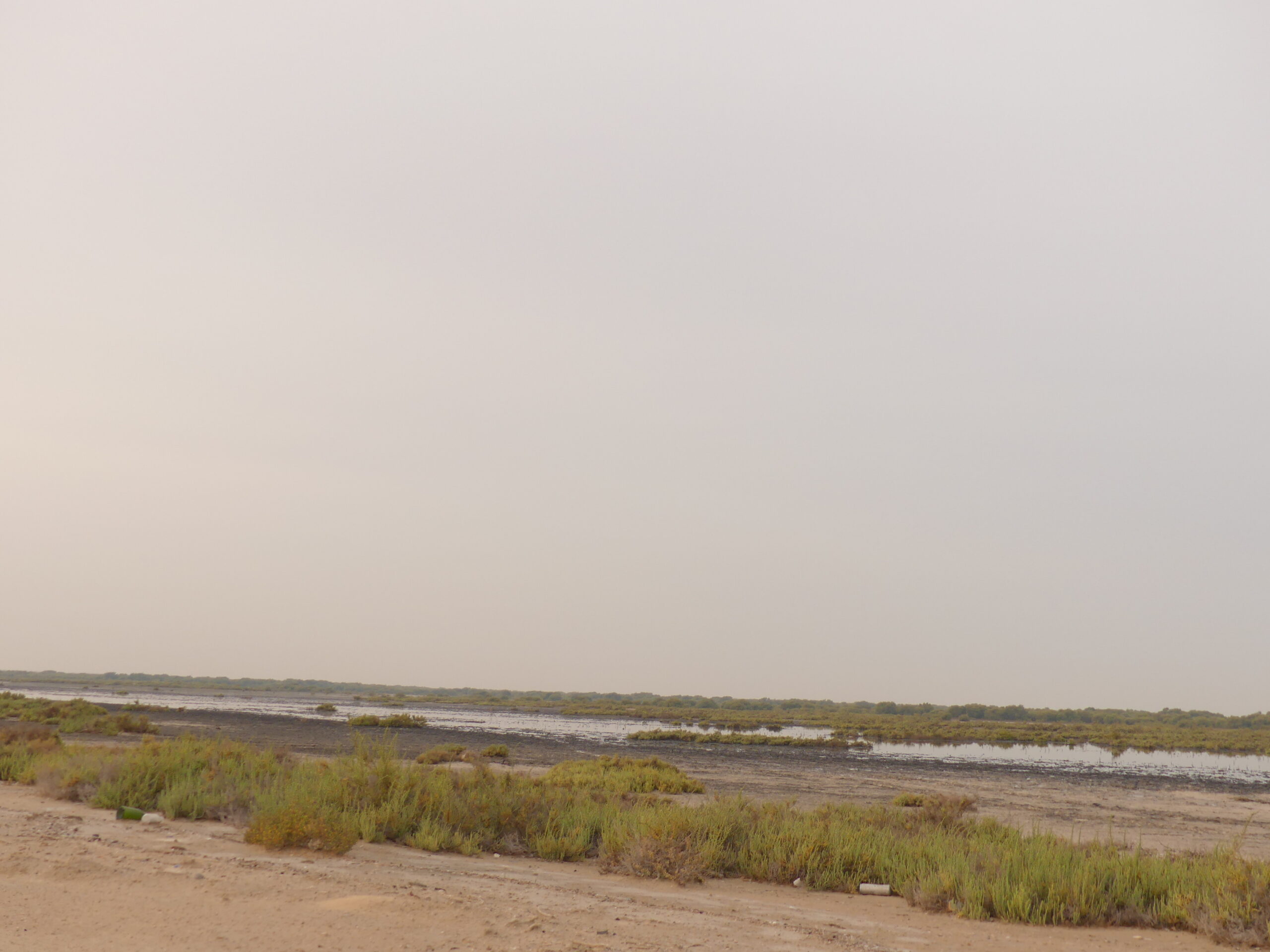Magnificent Lagoon – A Peaceful Escape in Umm Al Quwain photo 2
