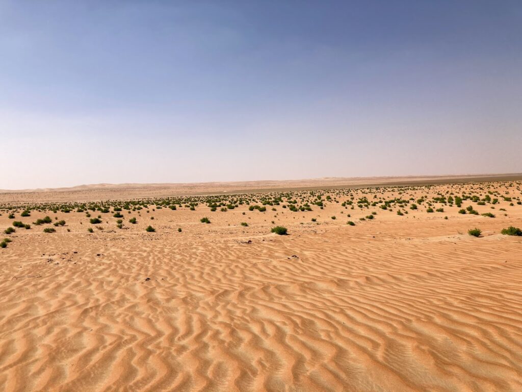 Desert Crossing to Tarif Beach – From Desert to the Sea photo 1