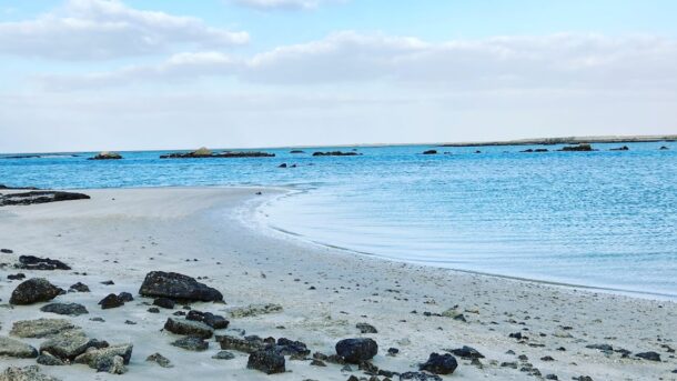 Desert Crossing to Tarif Beach – From Desert to the Sea photo 2
