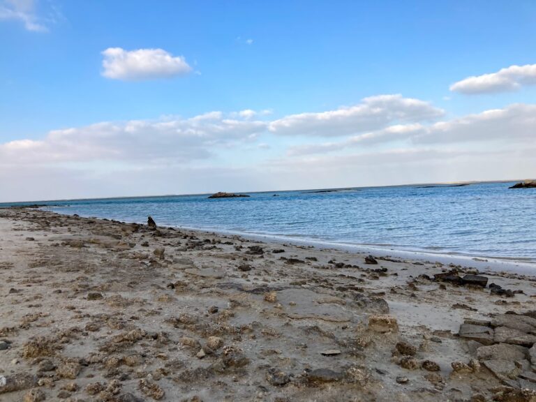 Desert Crossing to Tarif Beach – From Desert to the Sea photo 5