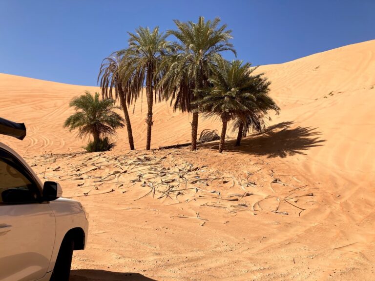 Desert Crossing to Tarif Beach – From Desert to the Sea
