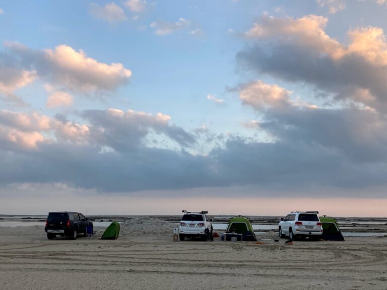 Desert Crossing to Tarif Beach – From Desert to the Sea photo 8