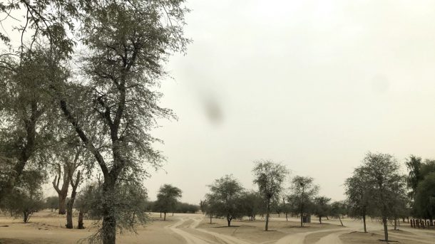 Al Qudra Lake – A Simple Desert Drive & Camping Escape photo 1
