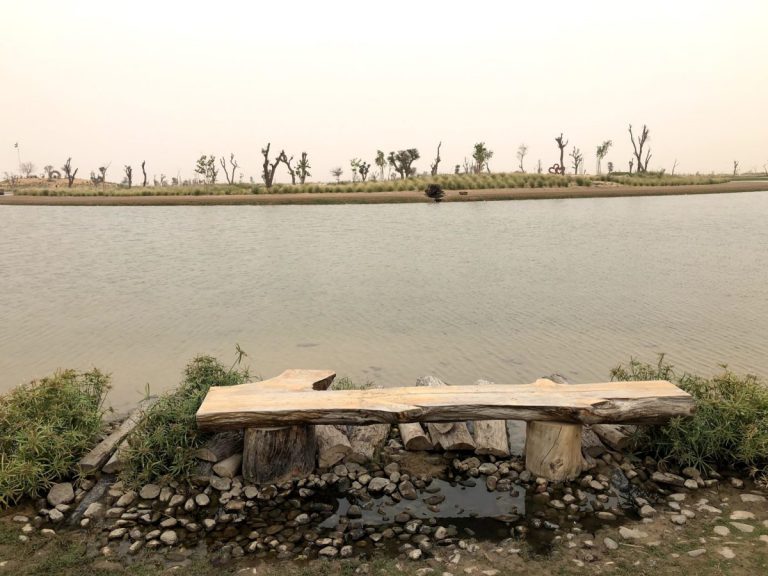 Al Qudra Lake – A Simple Desert Drive & Camping Escape photo 2