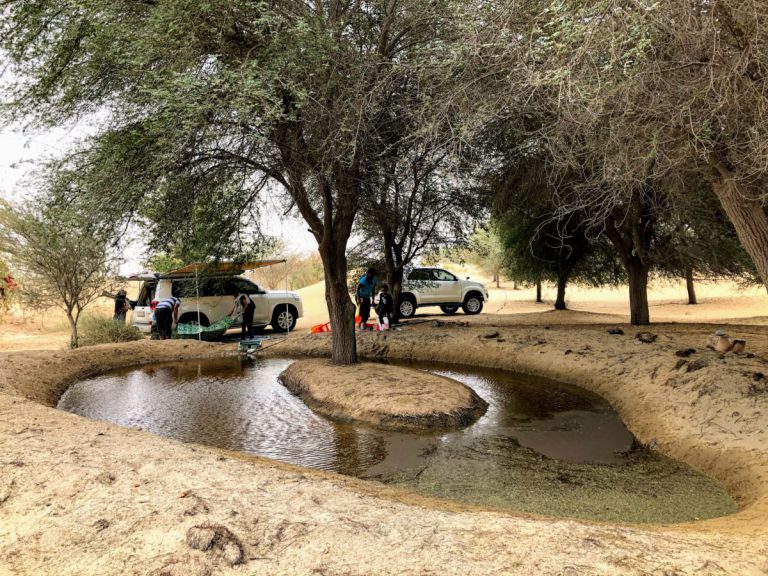 Al Qudra Lake – A Simple Desert Drive & Camping Escape